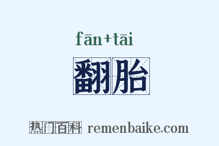 翻胎是什么意思的图片